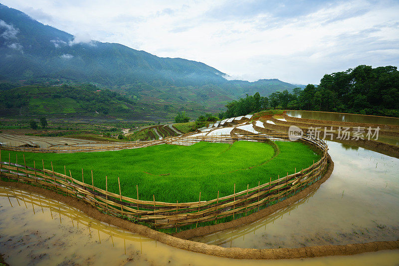 越南老蔡省Y Ty的梯田水季，开始种植水稻之前的时间
